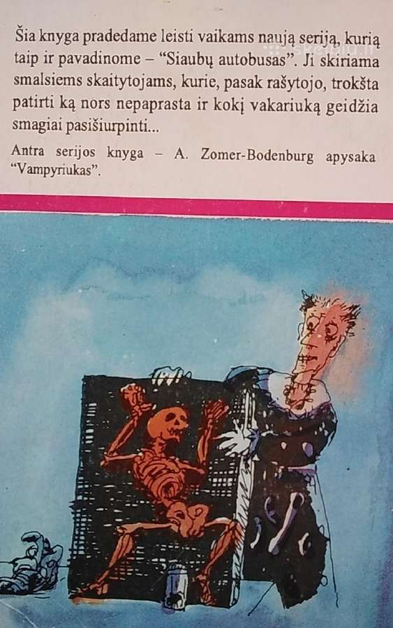 Siaubų autobusas - nuotraukos Nr. 3