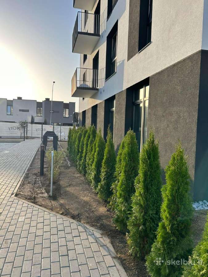 Smaragd tujos – rudens išpardavimas 70-250 cm. - nuotraukos Nr. 8