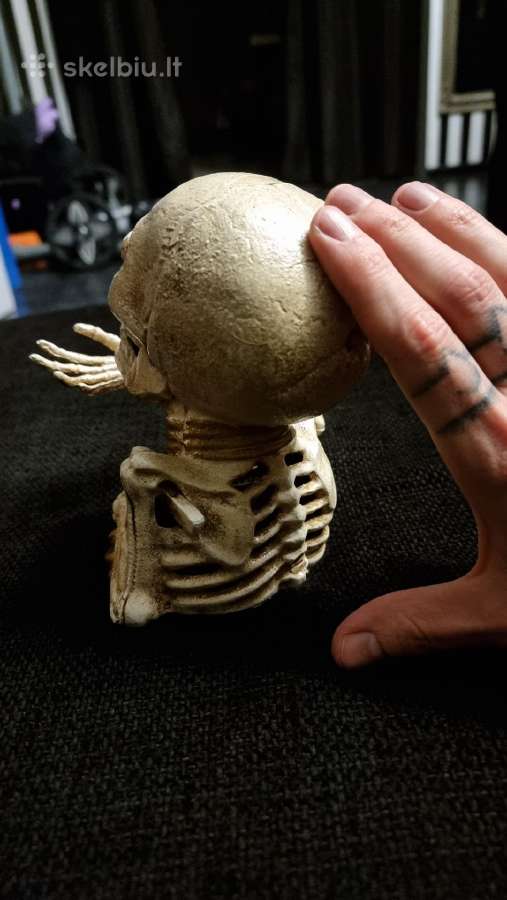 Taupykle Skeletas - nuotraukos Nr. 5