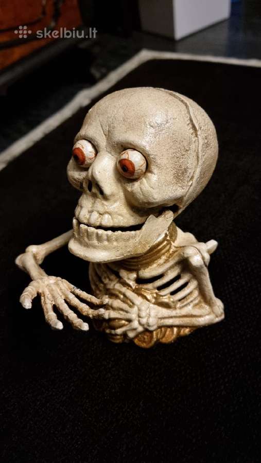 Taupykle Skeletas - nuotraukos Nr. 4