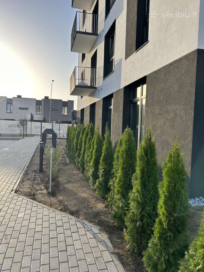 Smaragd tujos – rudens išpardavimas 70-250 cm. - nuotraukos Nr. 10