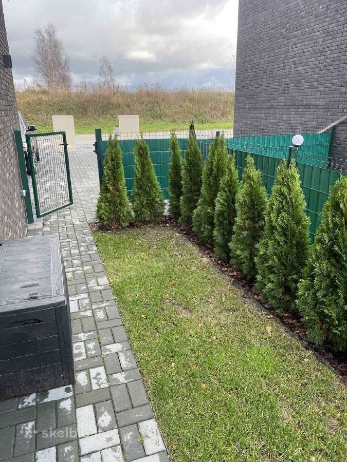 Smaragd tujos – rudens išpardavimas 70-250 cm. - nuotraukos Nr. 12