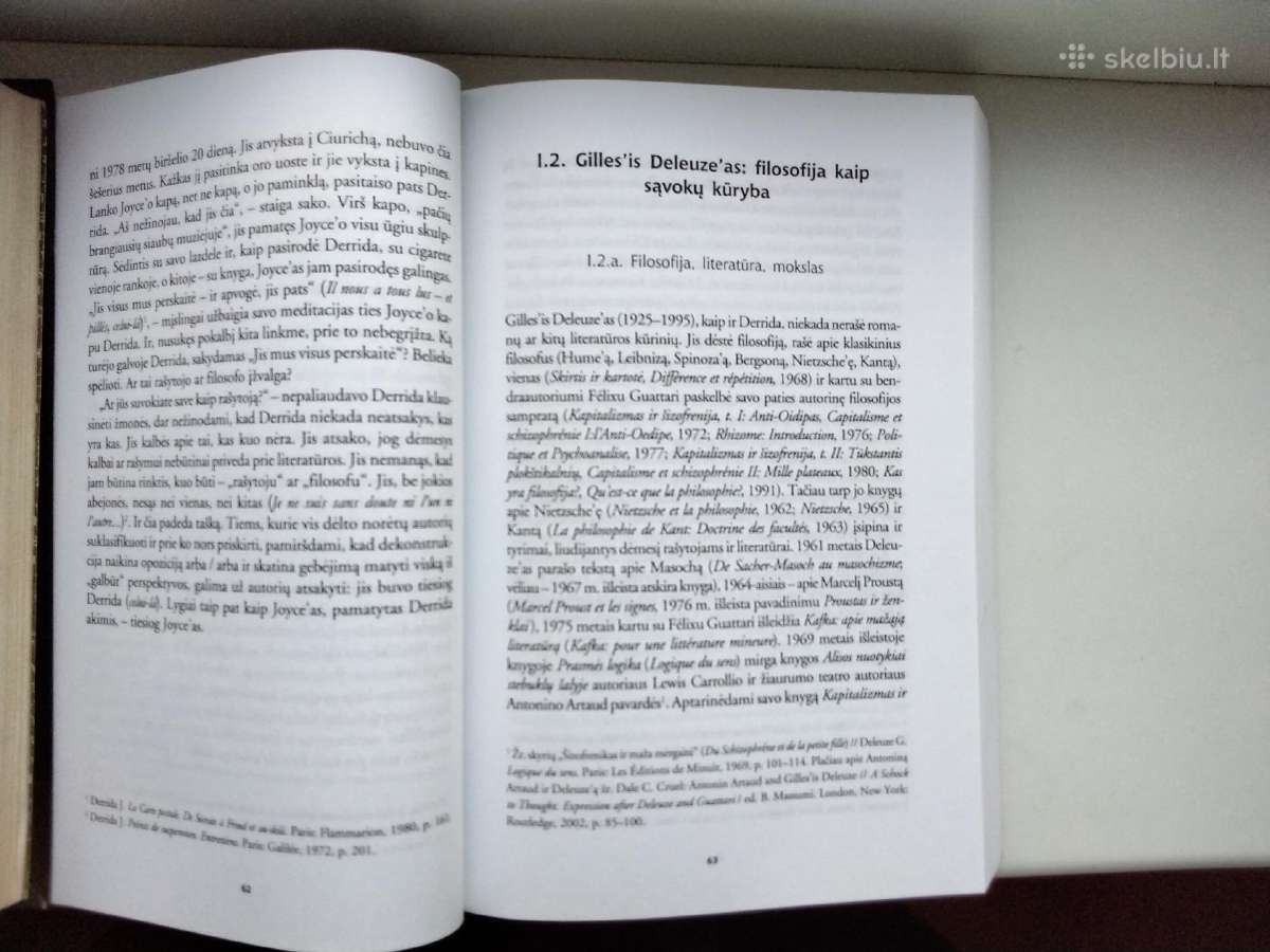 J. Baranova. Filosofija ir literatūra - nuotraukos Nr. 7