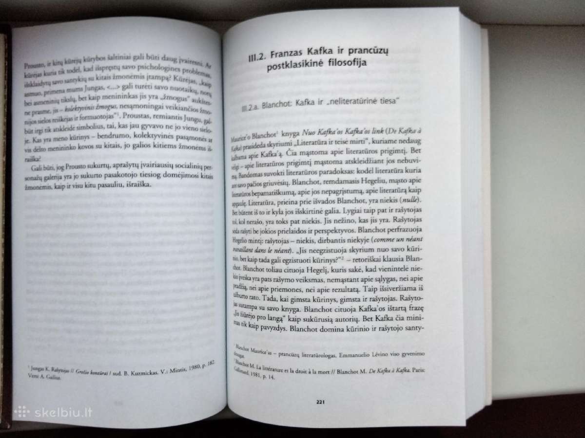 J. Baranova. Filosofija ir literatūra - nuotraukos Nr. 11