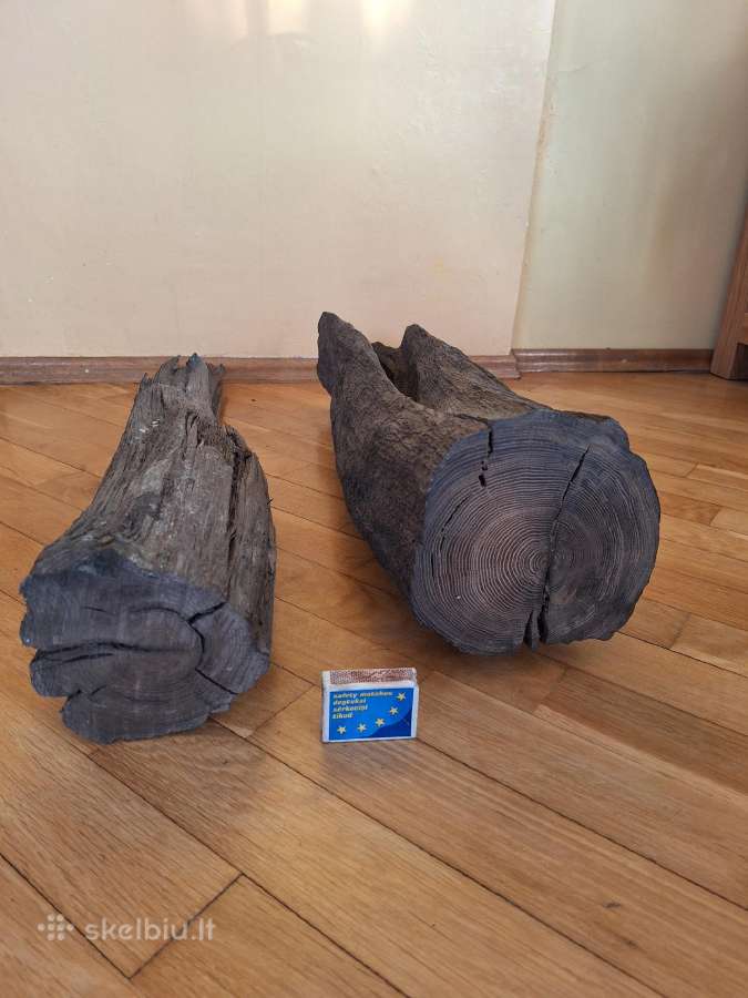 Juodasis ąžuolas (Bog oak) - nuotraukos Nr. 12