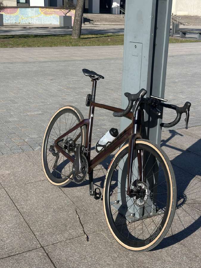 Drali Ametista 2024 56cm - nuotraukos Nr. 2