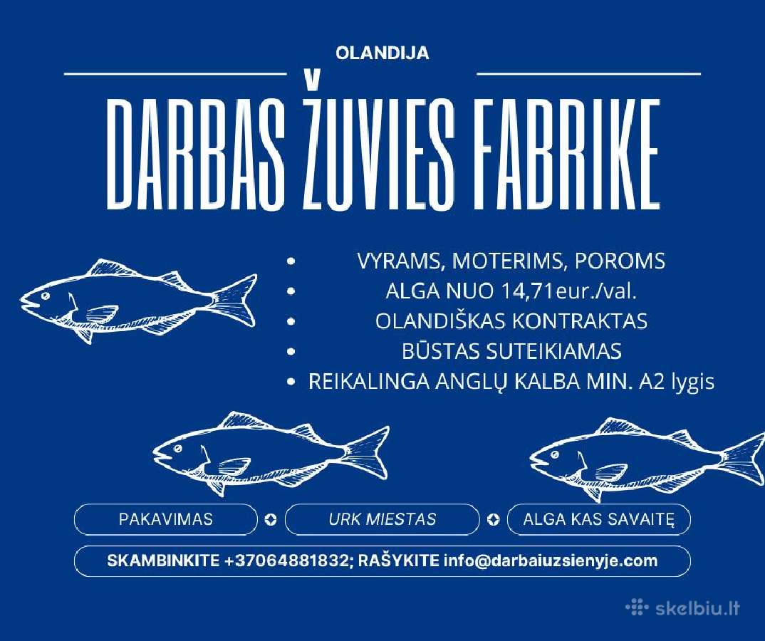 Darbas Darbas Olandijoje žuvies fabrike - Skelbiu.lt