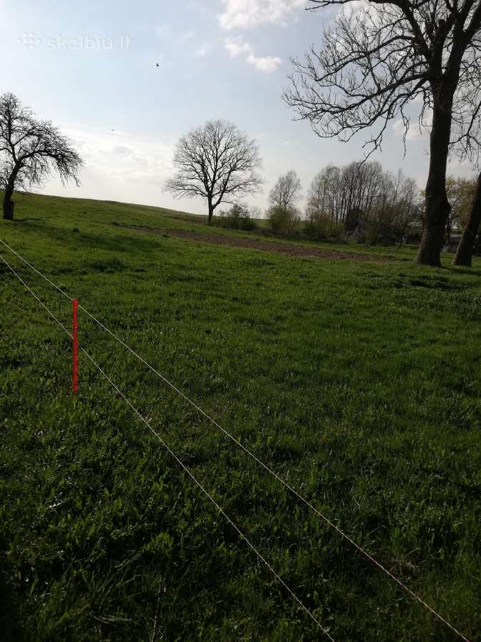 Autentišką sodybą Kelmės raj. Pikelių km. - nuotraukos Nr. 4