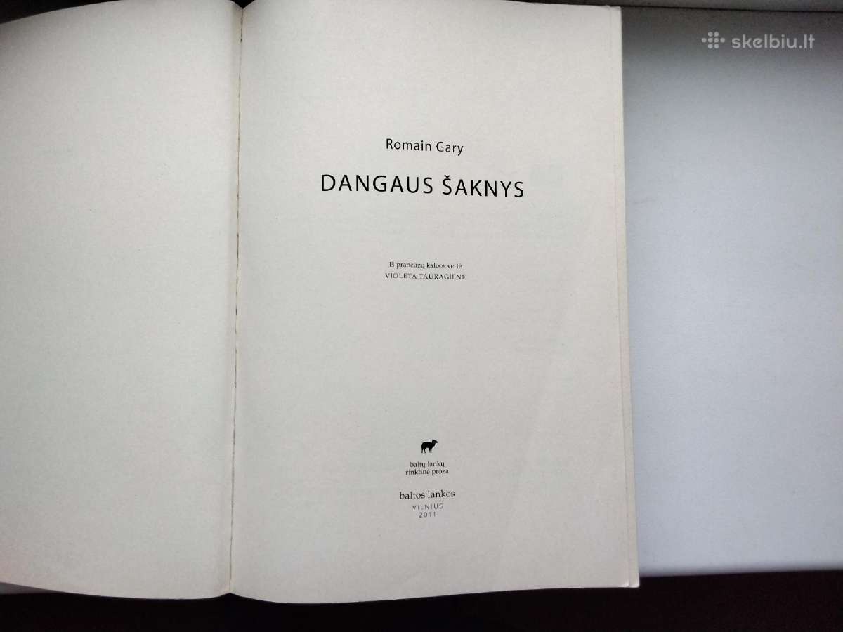 R. Gary. Dangaus šaknys - nuotraukos Nr. 2