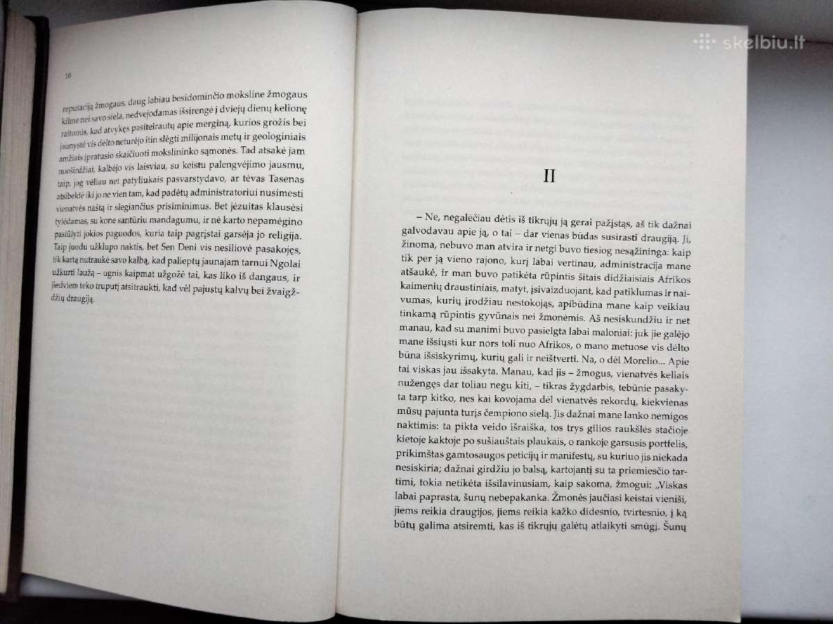 R. Gary. Dangaus šaknys - nuotraukos Nr. 6