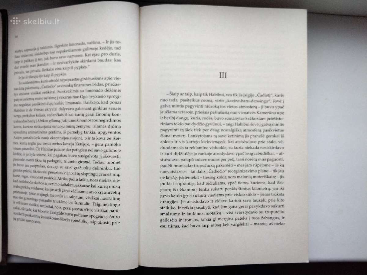 R. Gary. Dangaus šaknys - nuotraukos Nr. 7