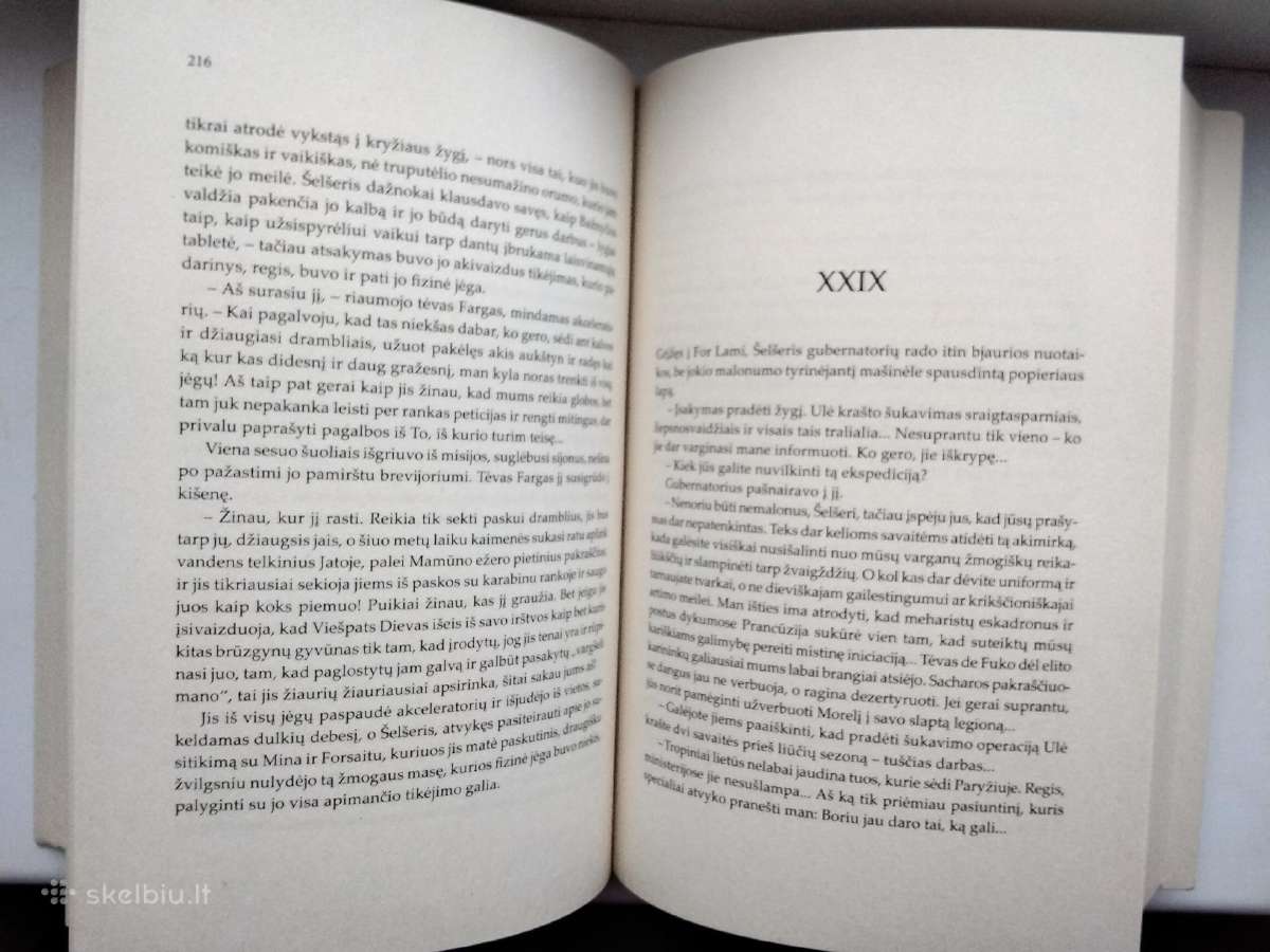 R. Gary. Dangaus šaknys - nuotraukos Nr. 12