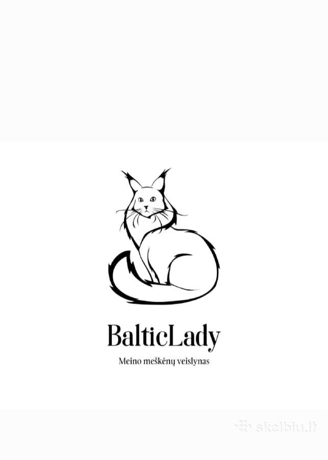 Kilminga Meino Meškėnė Eli Balticlady - nuotraukos Nr. 9