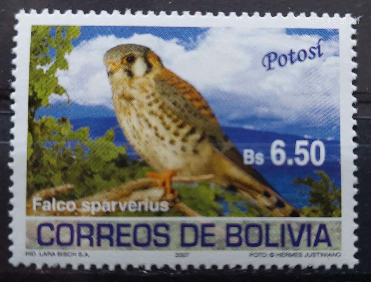 Bolivija 2007 paukštis , švarūs, Michel 1707