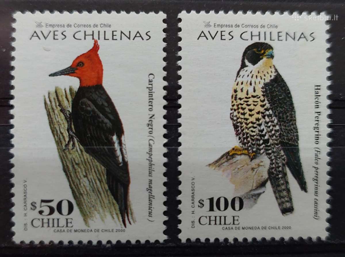 Čilė 2000 paukščiai, švarūs, Michel 1936-1937
