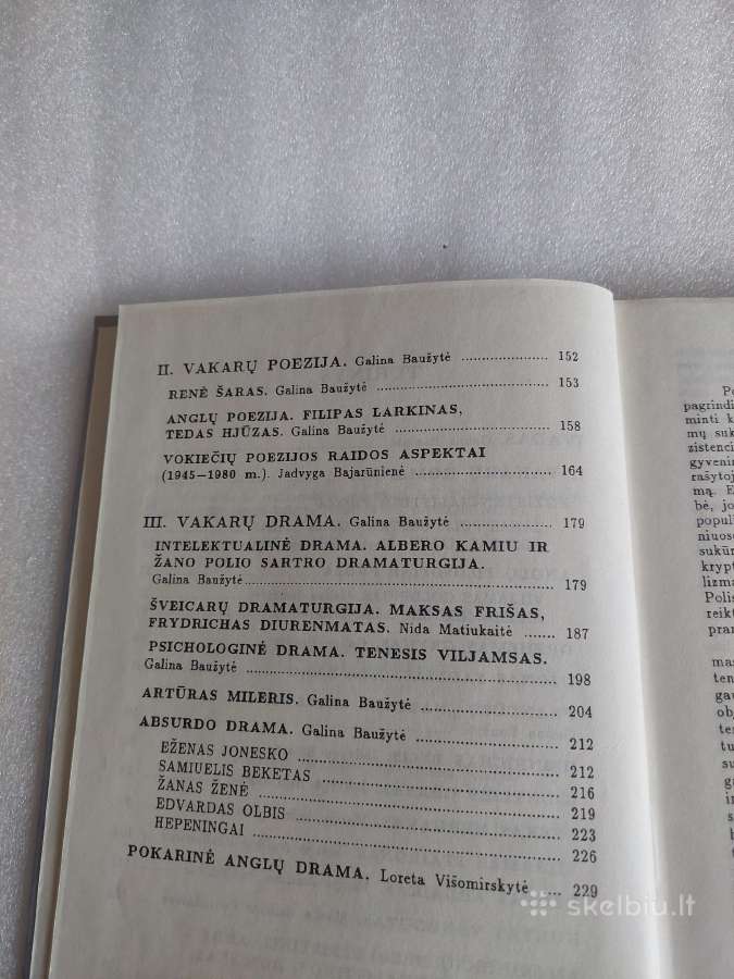XX a. Vakarų literatūra - nuotraukos Nr. 8