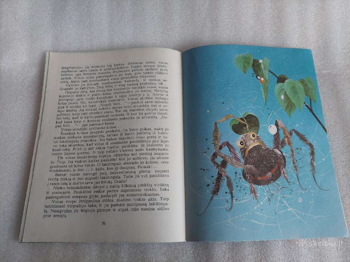 Ir aš turiu saulutę - nuotraukos Nr. 5