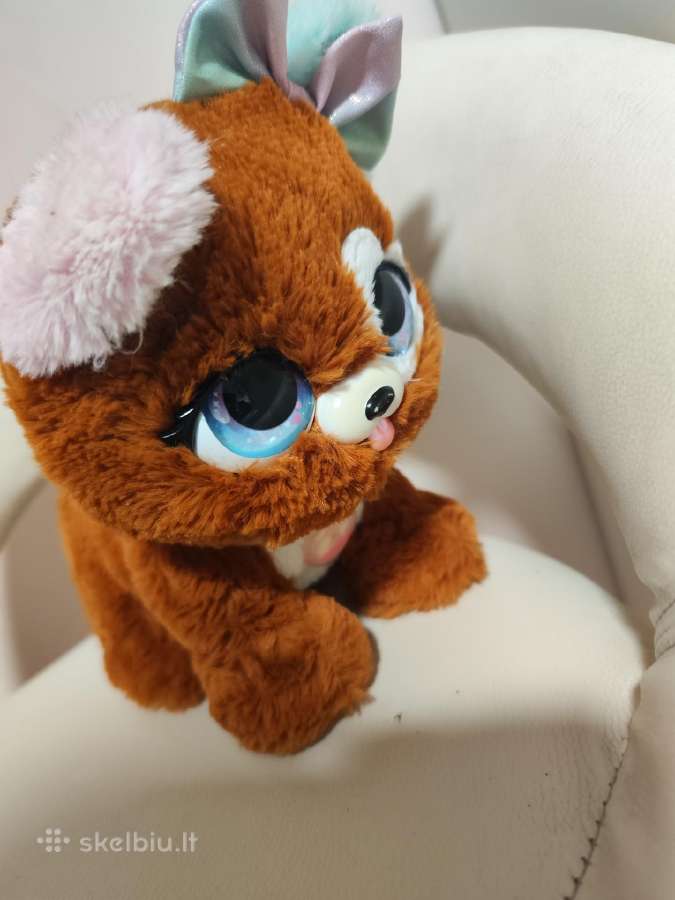 Nuostabus present pets šuniukas
