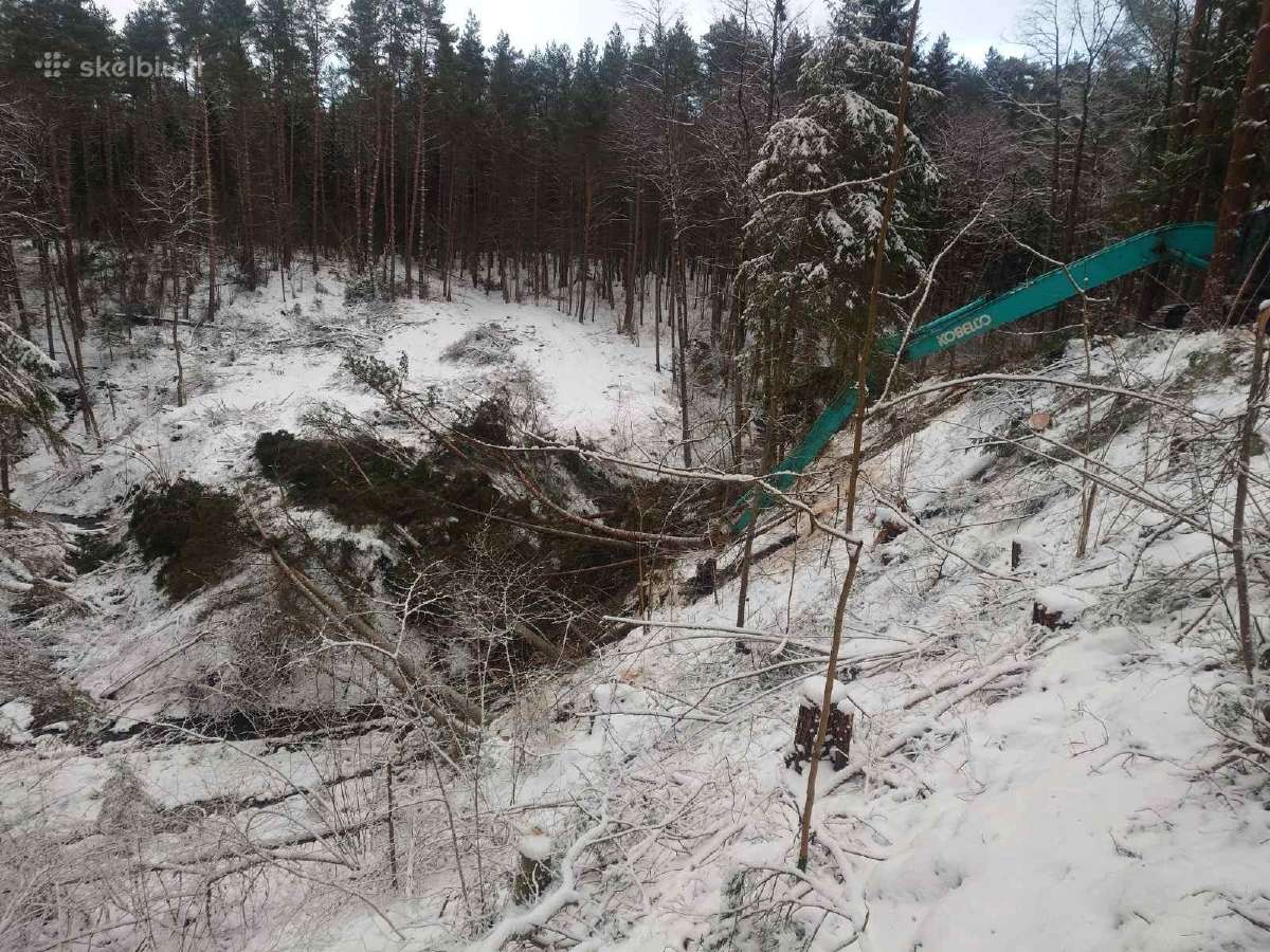 Apleistų sklypų tvarkymas Sklypų Valymas Biokuras - nuotraukos Nr. 3