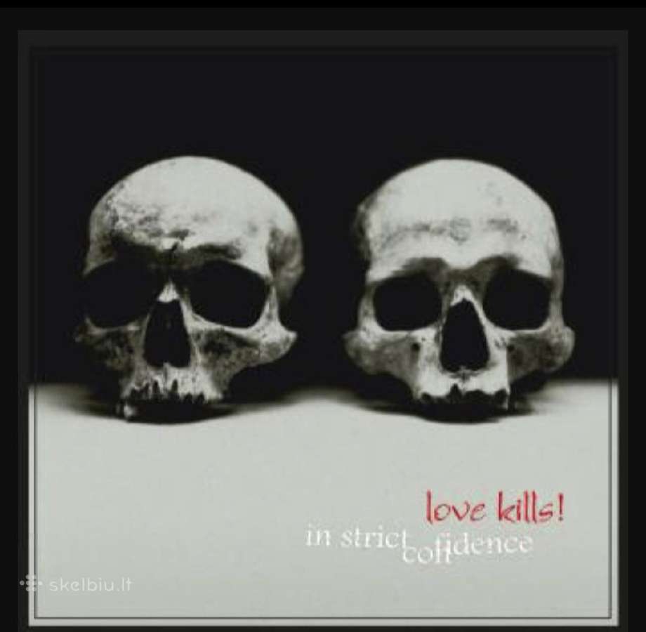 In Strict Confidence 2 vinilai ( 2lp)