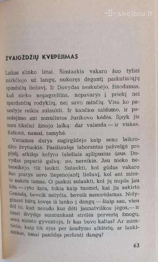 R. Gavelis "Įsibrovėliai" - nuotraukos Nr. 3