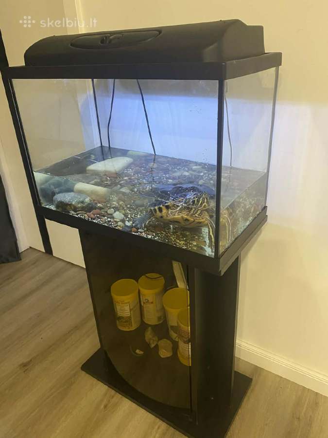 Akvariumas su spintele