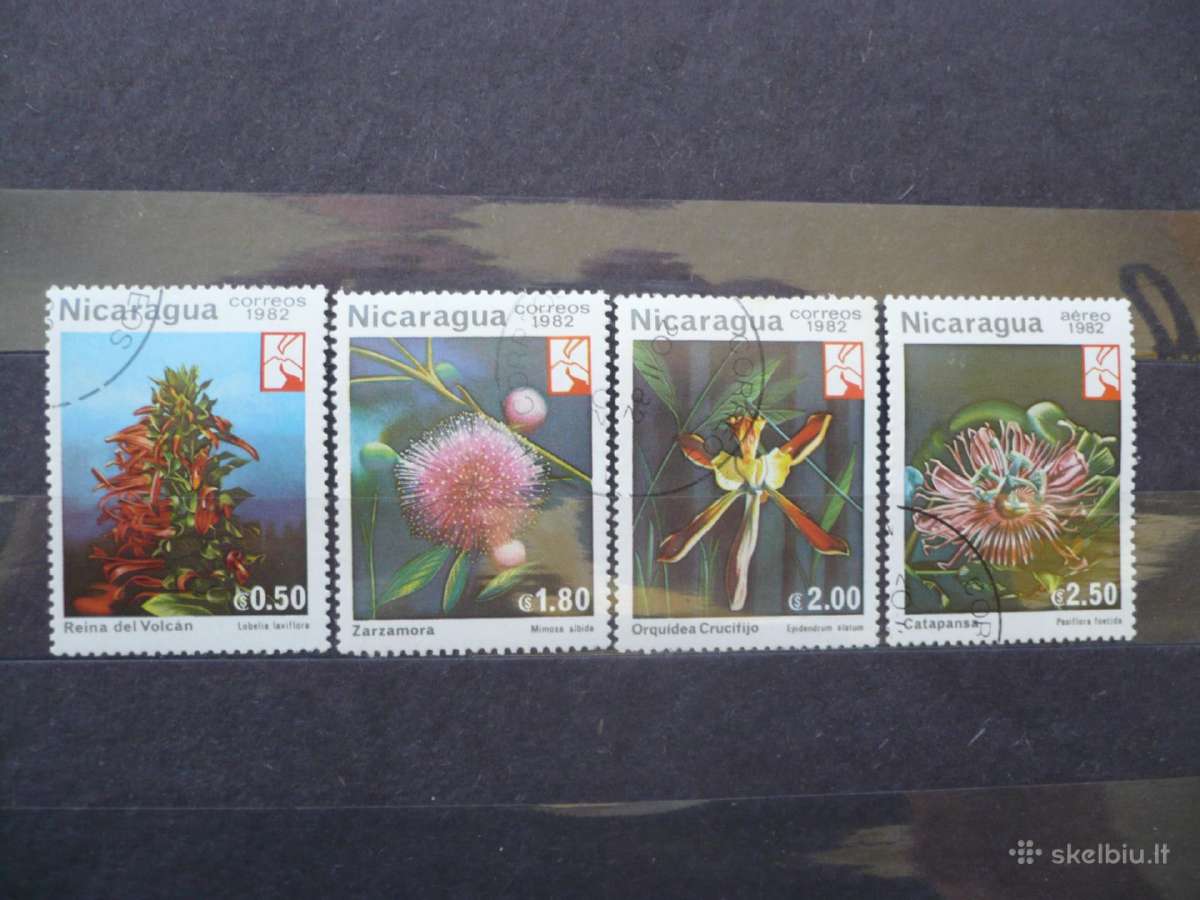 1982 m. gėlės