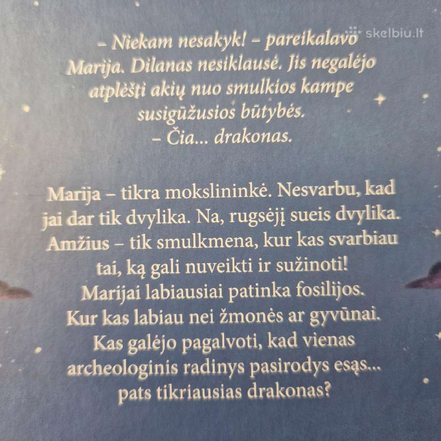 Nauja knyga "Paslaptingas drakonas" - nuotraukos Nr. 4