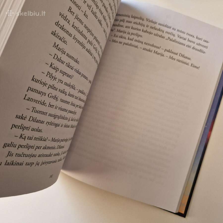 Nauja knyga "Paslaptingas drakonas" - nuotraukos Nr. 8