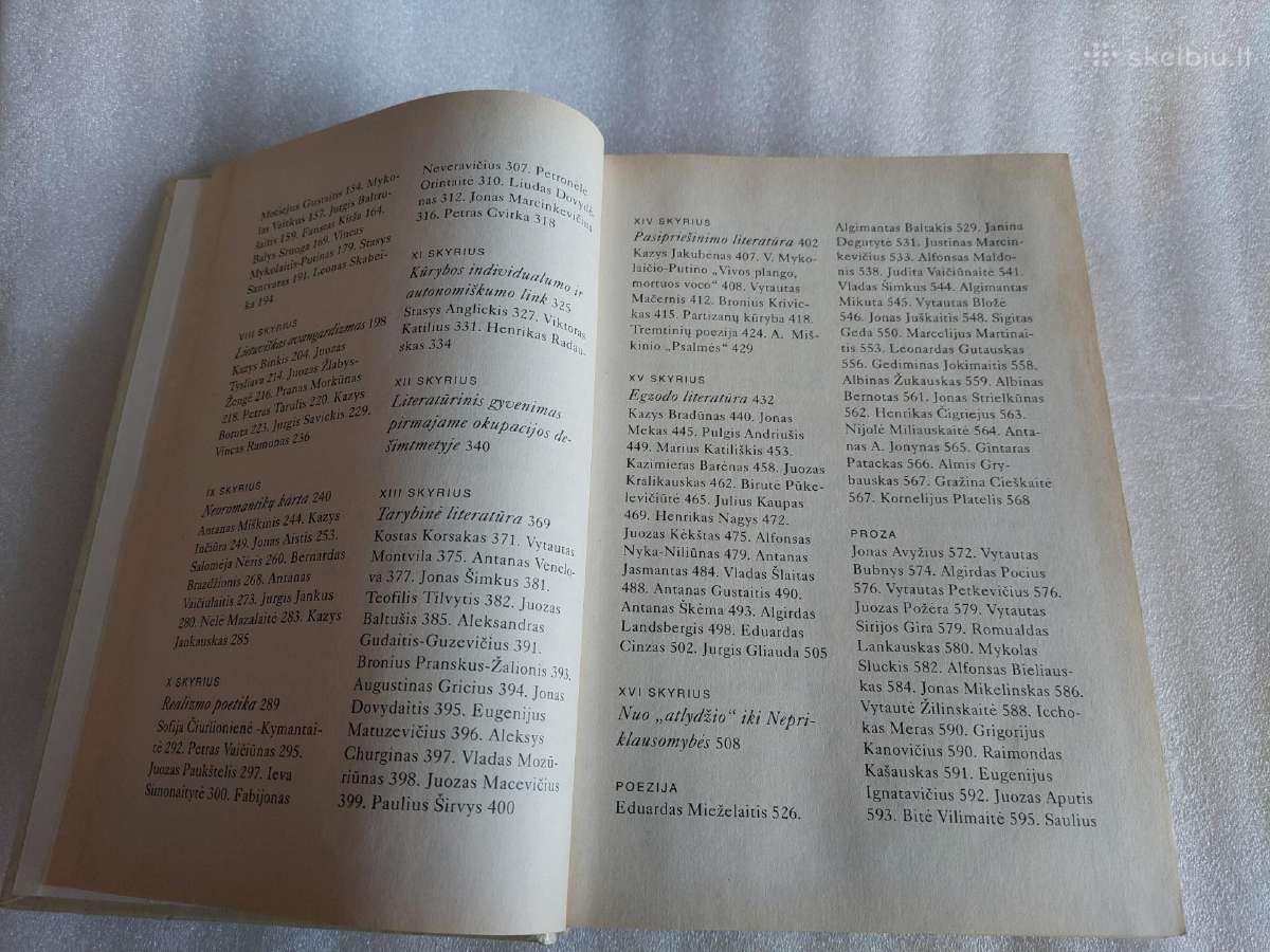 XX amžiaus literatūra - nuotraukos Nr. 4