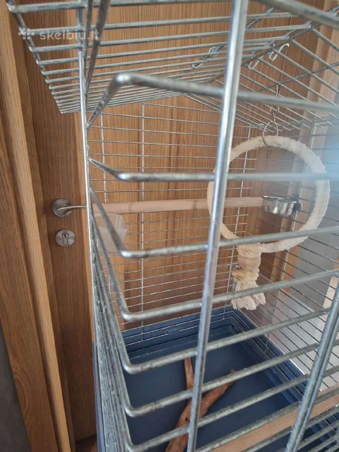 Narvas papūgoms ar kitiems paukščiams - nuotraukos Nr. 4