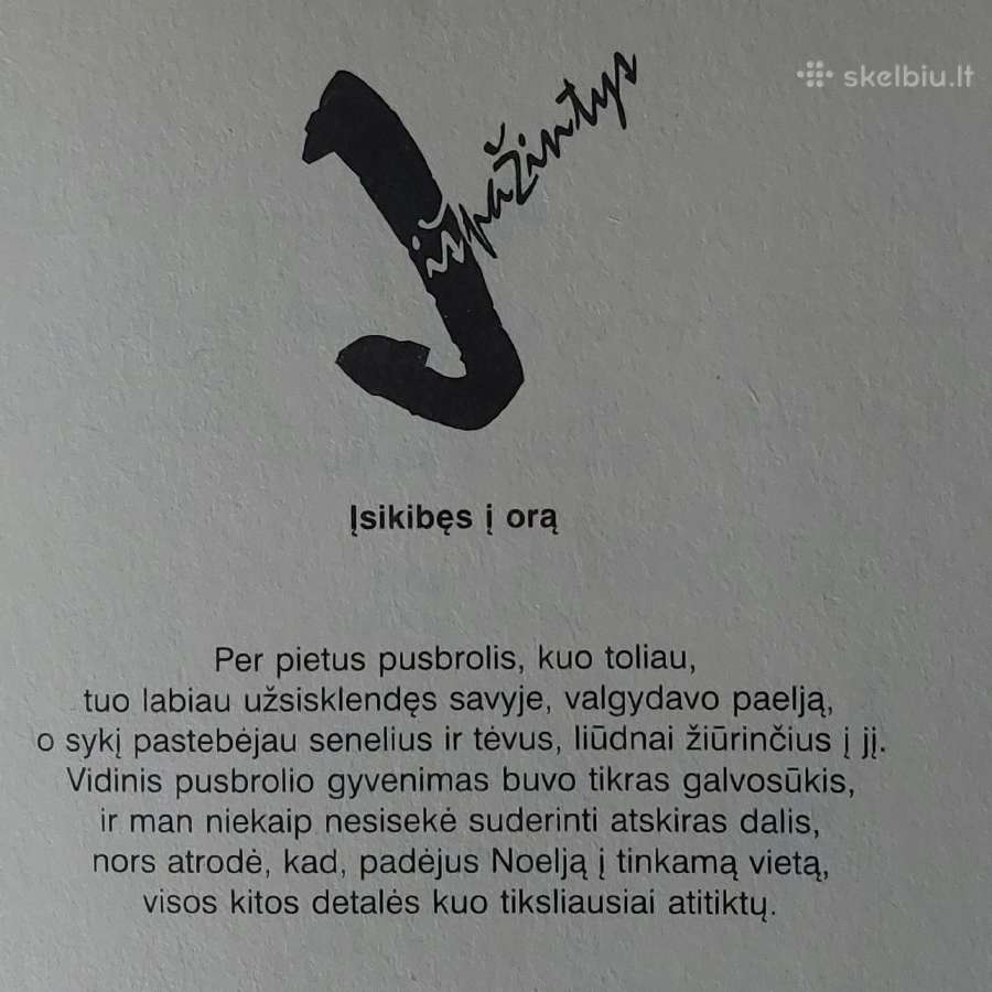 Jorge Gomez Soto - " Įsikibęs į orą ". - nuotraukos Nr. 20