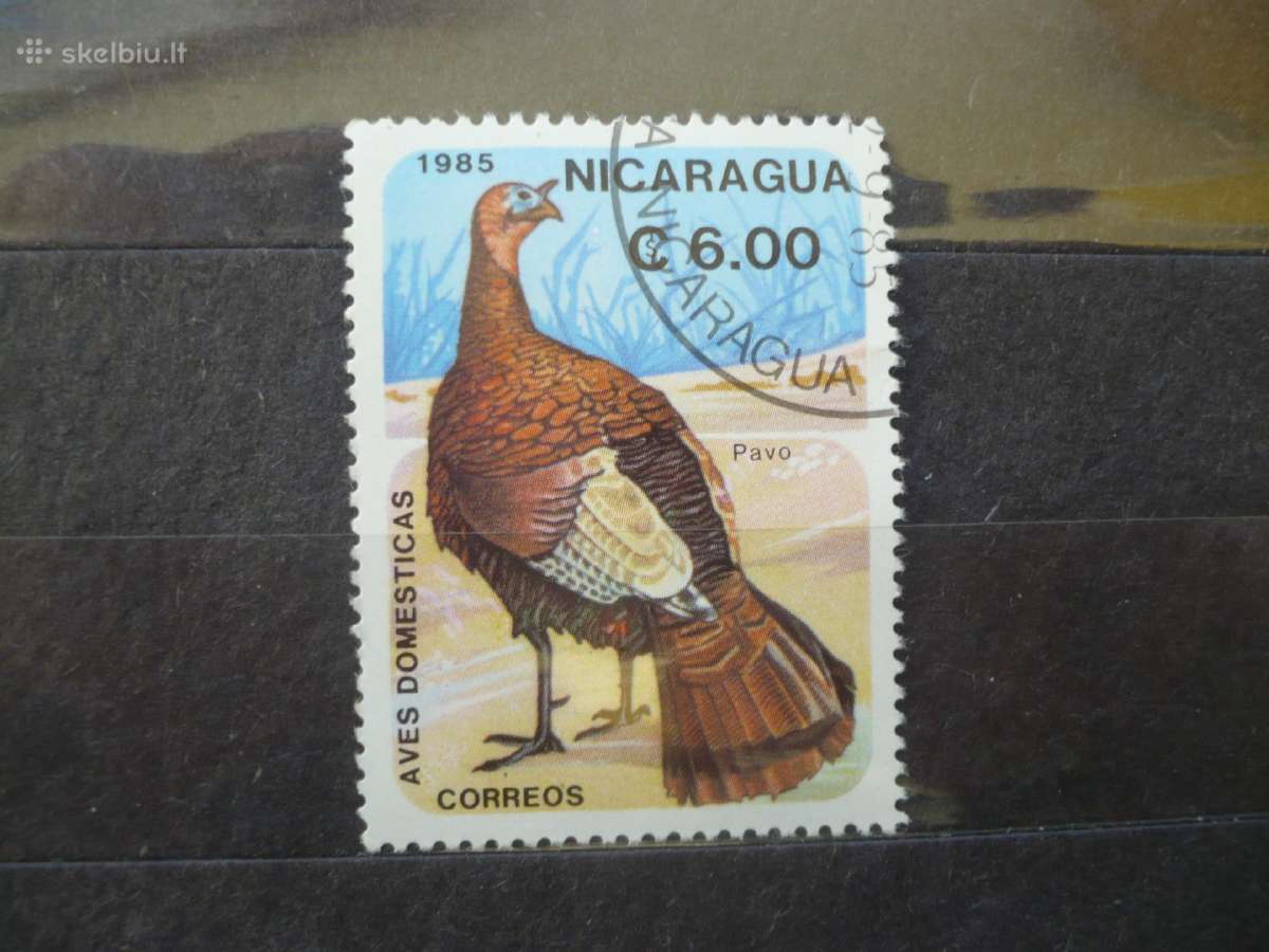 1985 m. Naminiai gyvūnai - Paukščiai