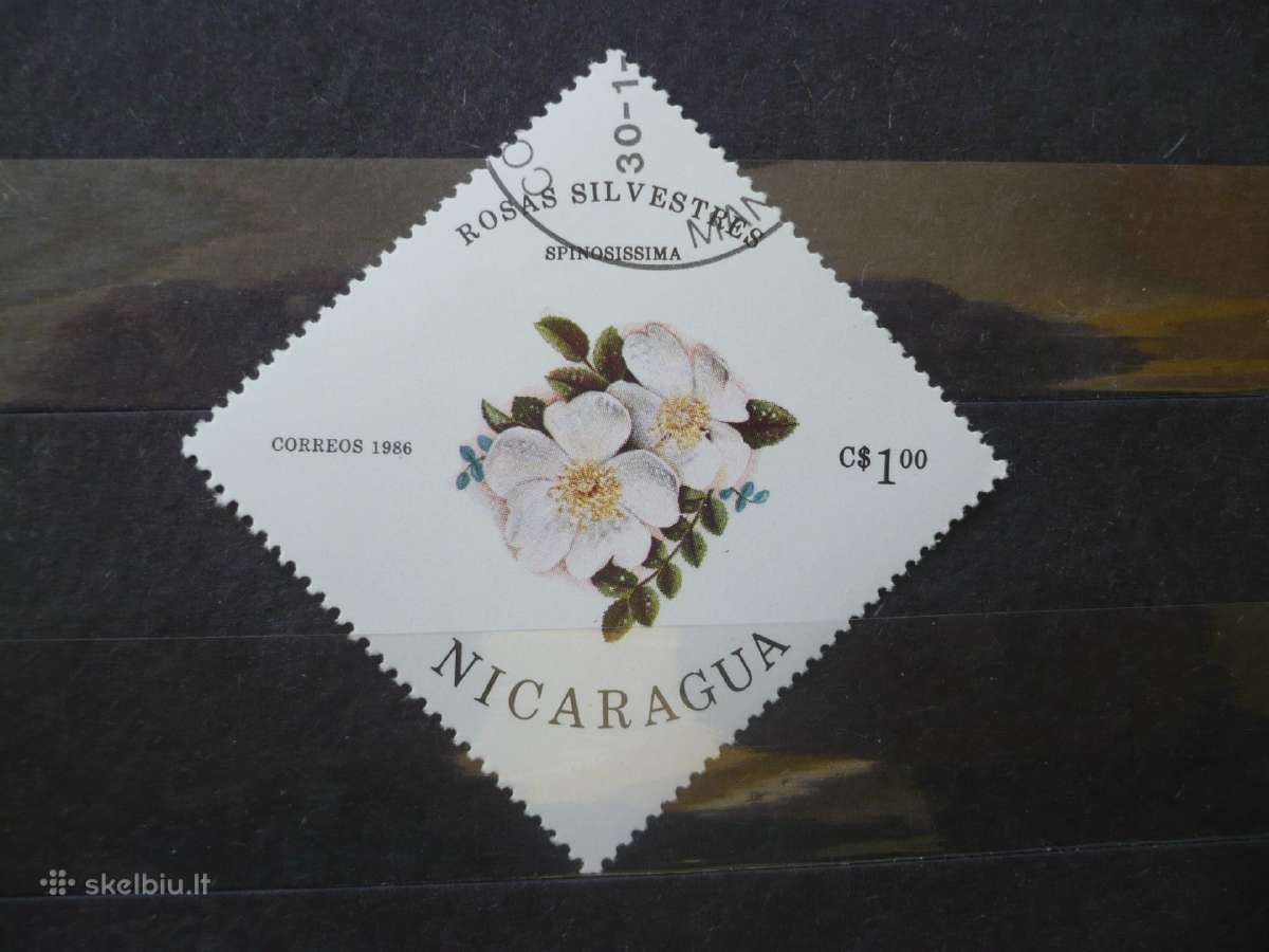 1986 m. Laukinės rožės