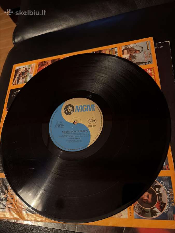 Never can say goodbye Gloria Gaynor - nuotraukos Nr. 5
