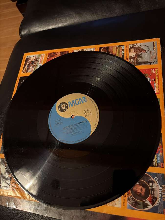 Never can say goodbye Gloria Gaynor - nuotraukos Nr. 6