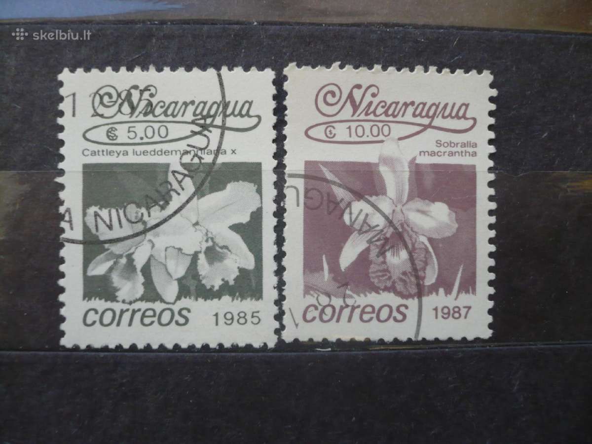 1985–1987 m. gėlės