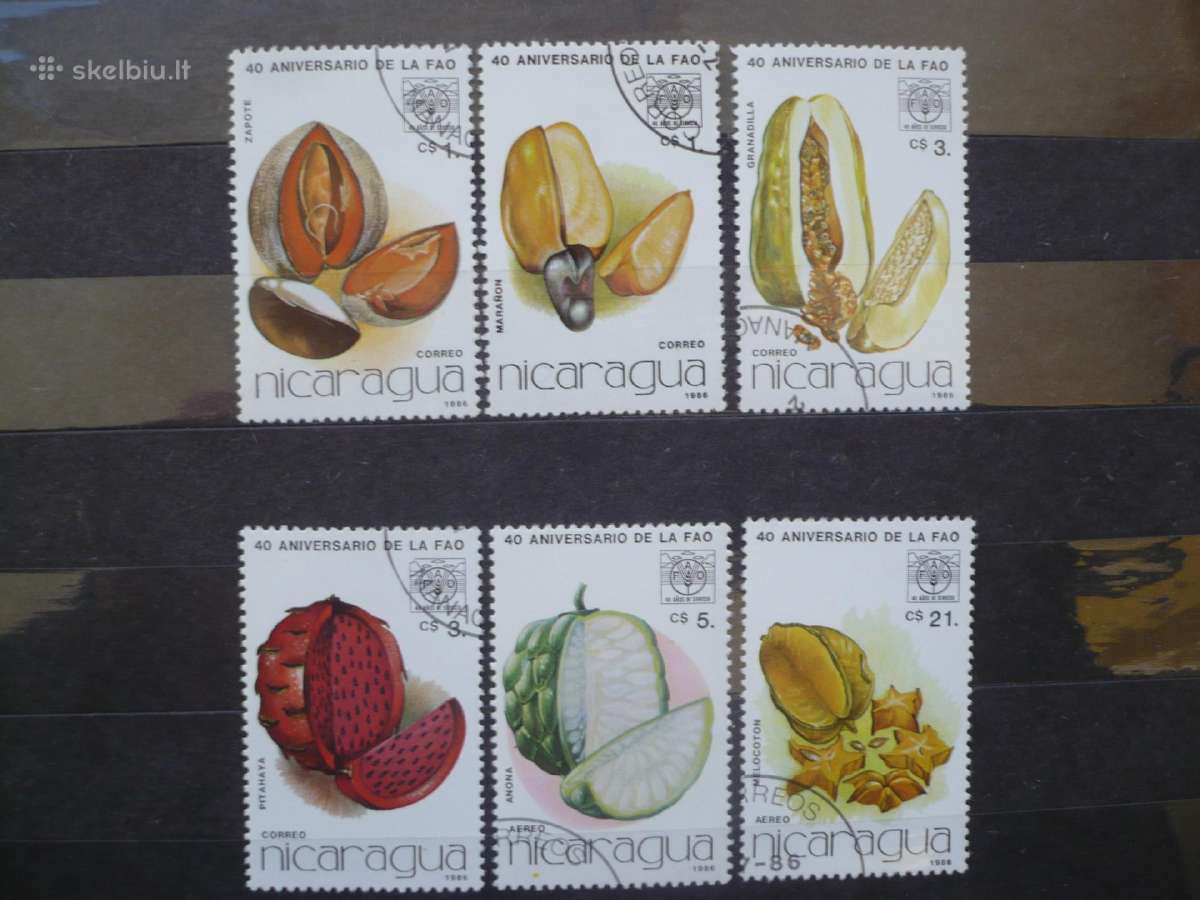 1986 m. Fao 40-metis