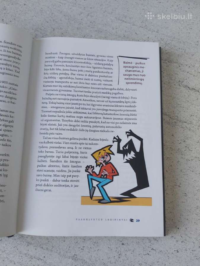 Knyga berniukams - nuotraukos Nr. 6