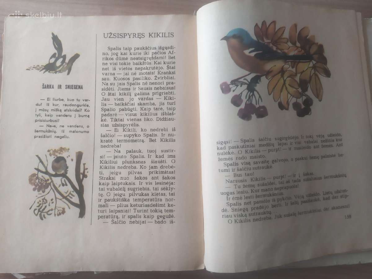 Nikolajus Sladkovas "Šarkų tarškalai" - nuotraukos Nr. 6