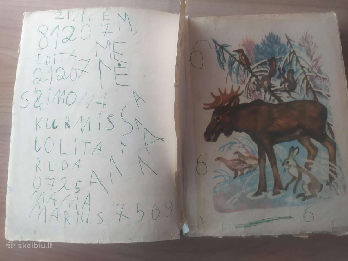 Nikolajus Sladkovas "Šarkų tarškalai" - nuotraukos Nr. 8