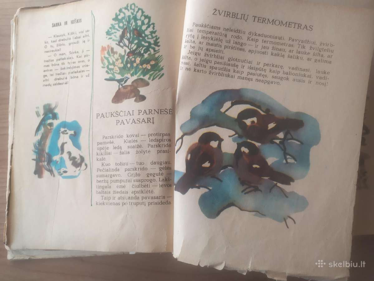 Nikolajus Sladkovas "Šarkų tarškalai" - nuotraukos Nr. 11