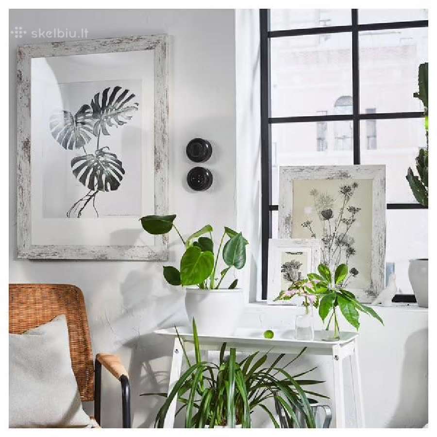 Ikea Plommonträd pavekslų rėmai 2vnt. @ - nuotraukos Nr. 3