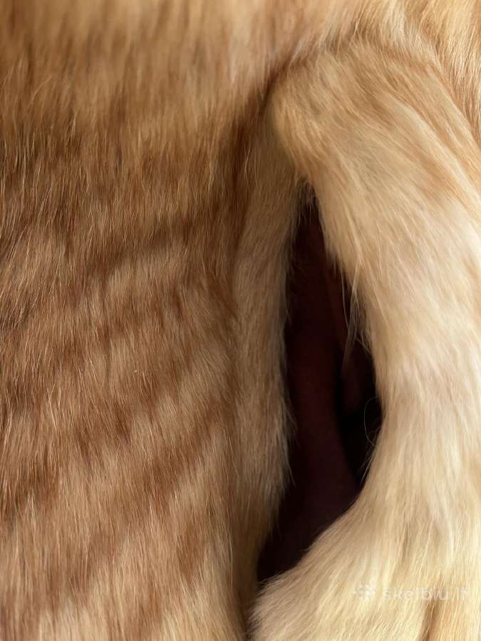 Lapės puskailiniai - nuotraukos Nr. 5
