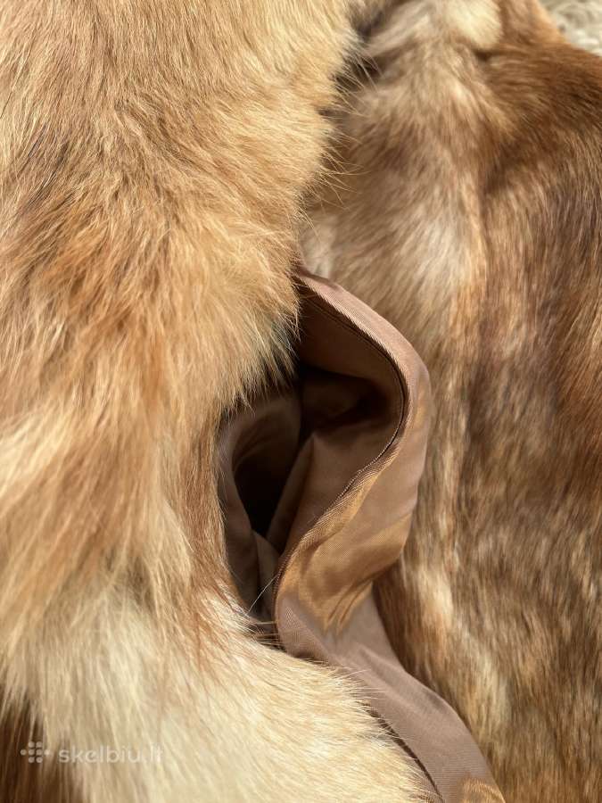 Lapės puskailiniai - nuotraukos Nr. 6