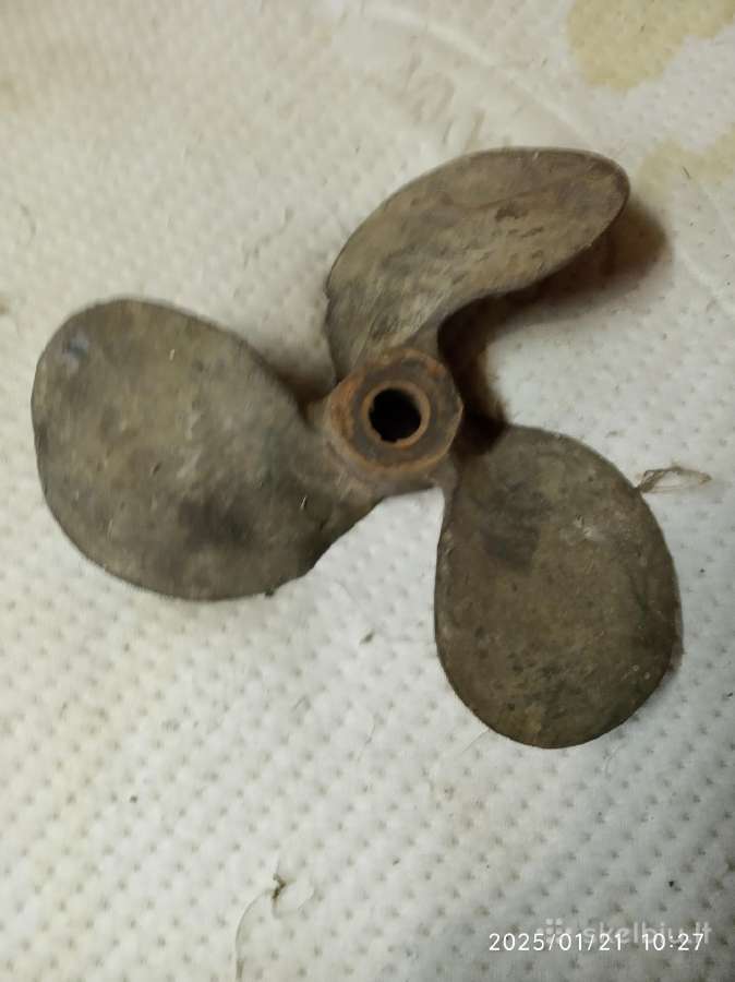 Bronz antis, Sraigta, Movos, Spirokle melhiorine - nuotraukos Nr. 3