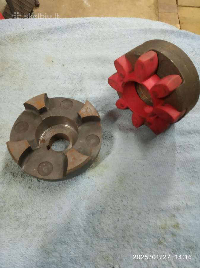 Bronz antis, Sraigta, Movos, Spirokle melhiorine - nuotraukos Nr. 4