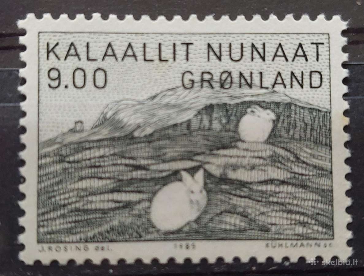 Grenlandija 1985 kiškiai, švarus, Michel 161