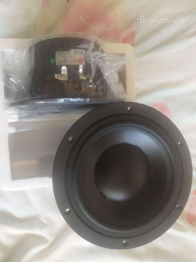 Hivi Acoustics & Swan Speakers - nuotraukos Nr. 5