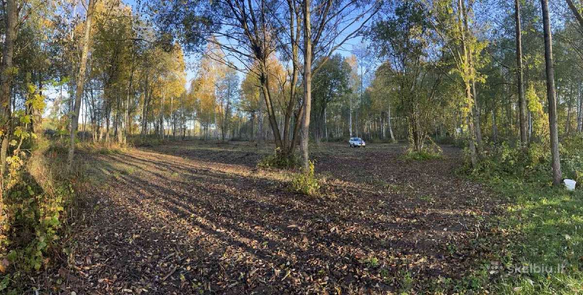 Skypas prie ežero miško apsuptyje. - nuotraukos Nr. 11